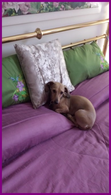 bea sul letto